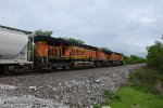 BNSF 6110 Roster shot